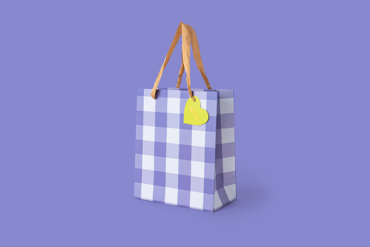Blue Gingham Gift Bags (2 Sizes)