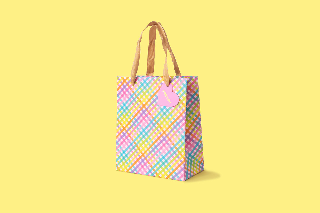 Colorful Gingham Gift Bags (2 Sizes)