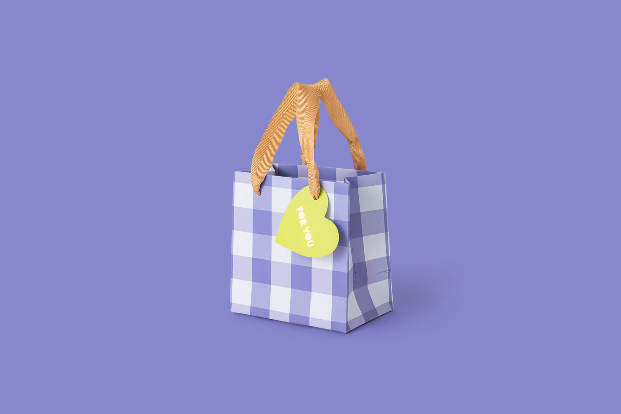 Blue Gingham Gift Bags (3 Sizes)