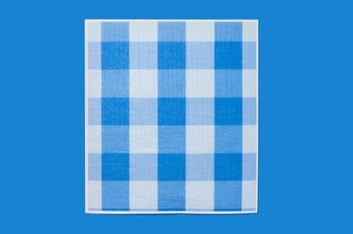 Blue Gingham Biodegradable Dish Cloth